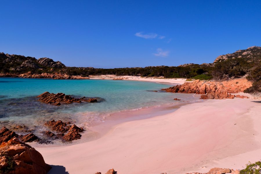 Pink sand beach of Sardinia