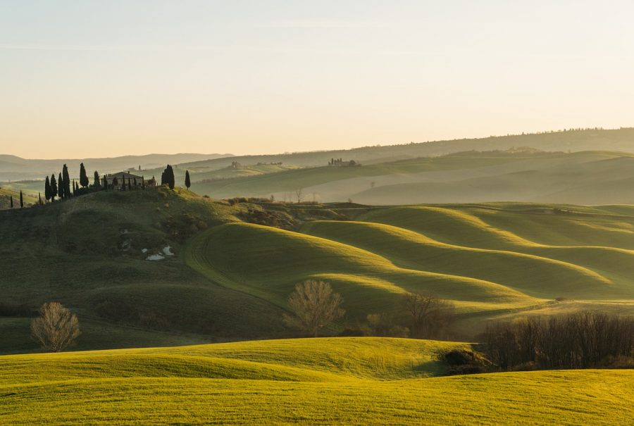 Tuscany landscape with cypress trees
