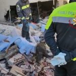 Dogs search for bodies following Sicily blast
