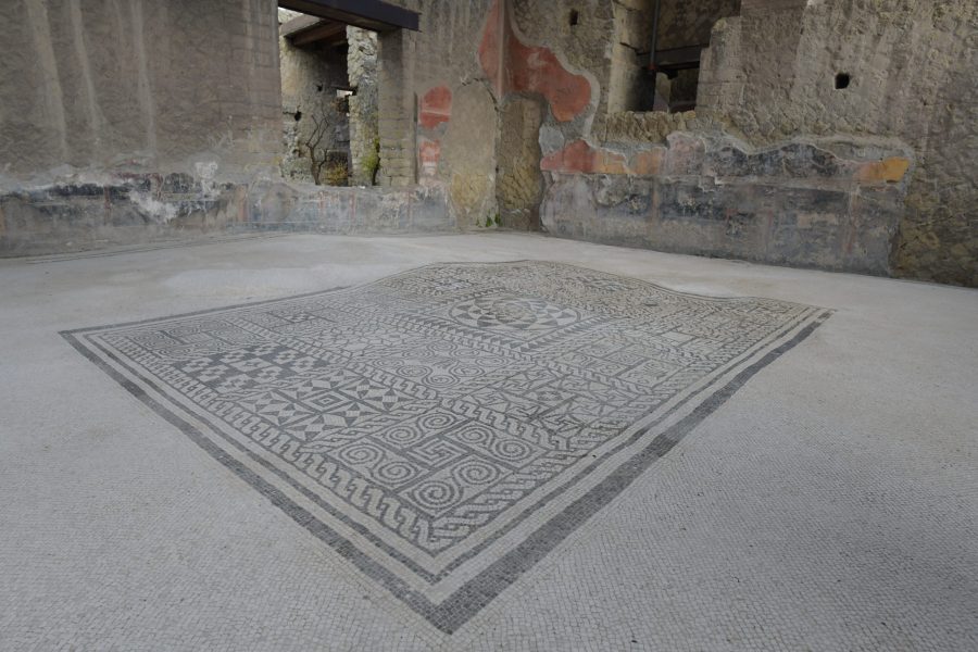 Casa dell Gemma, Herculaneum, mosaic
