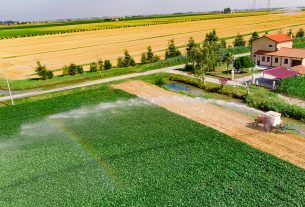 Agricultural firms in Tuscany employ migrant workers. Italian agriculture. Agri food chain to receive EU support