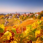 Autumn in Italy - Langhe, Piedmont