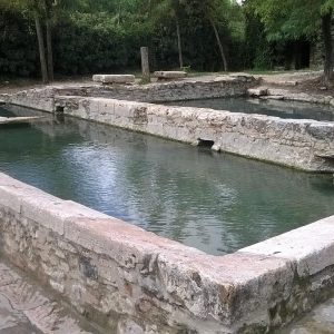 24 bronzes found under water at San Casciano dei Bagni