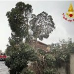 Flooding in Sicily with high winds bringing down trees