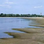 Year of drought ahead if no rain falls in spring