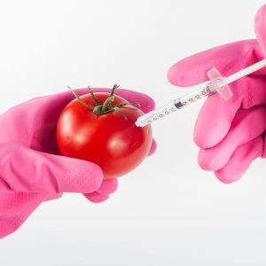 Creating synthetic food - government seeks ban. Imagen de Arturs Budkevics en Pixabay