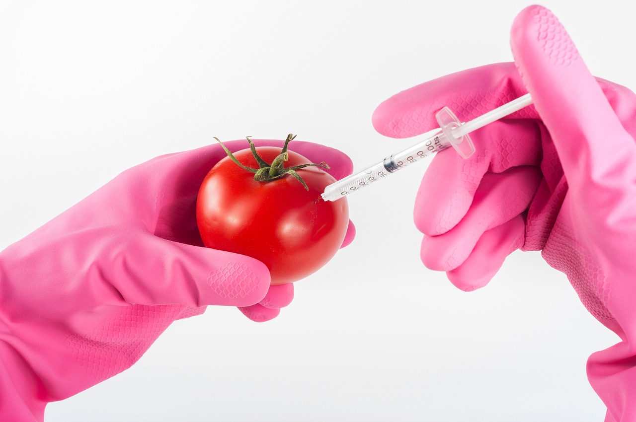 Creating synthetic food - government seeks ban. Imagen de Arturs Budkevics en Pixabay