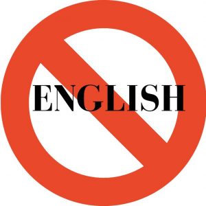 FdI propose bill to ban English in official documents