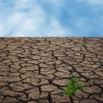 Climate crisis needs radical approach