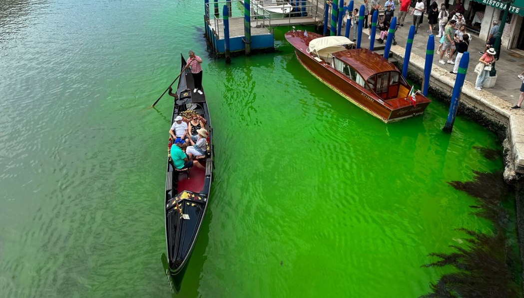 venice grand canal turns flourescent green