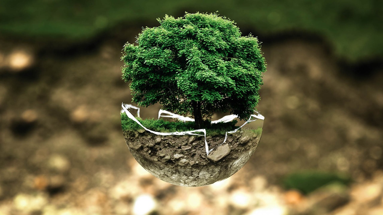 image shows tree in broken sphere against backdrop of environment. Relates to article about climate change denial
