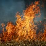 Extreme weather causes wildfires and storms across Italy