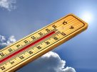Extreme heat across Italy sees workers threaten strike action. Image shows thermometer registering almost 50º
