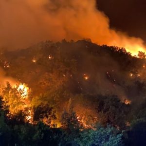 60,000 hectares lost to wildfires in 2023. Image shows a fire on a hillside in Italy