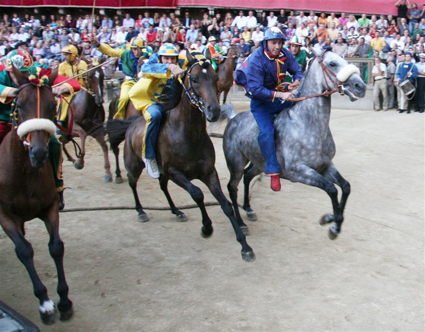 Siena Palio - image shows the horses racing in the Palio from 2006. A grey horse is narrowlung in front