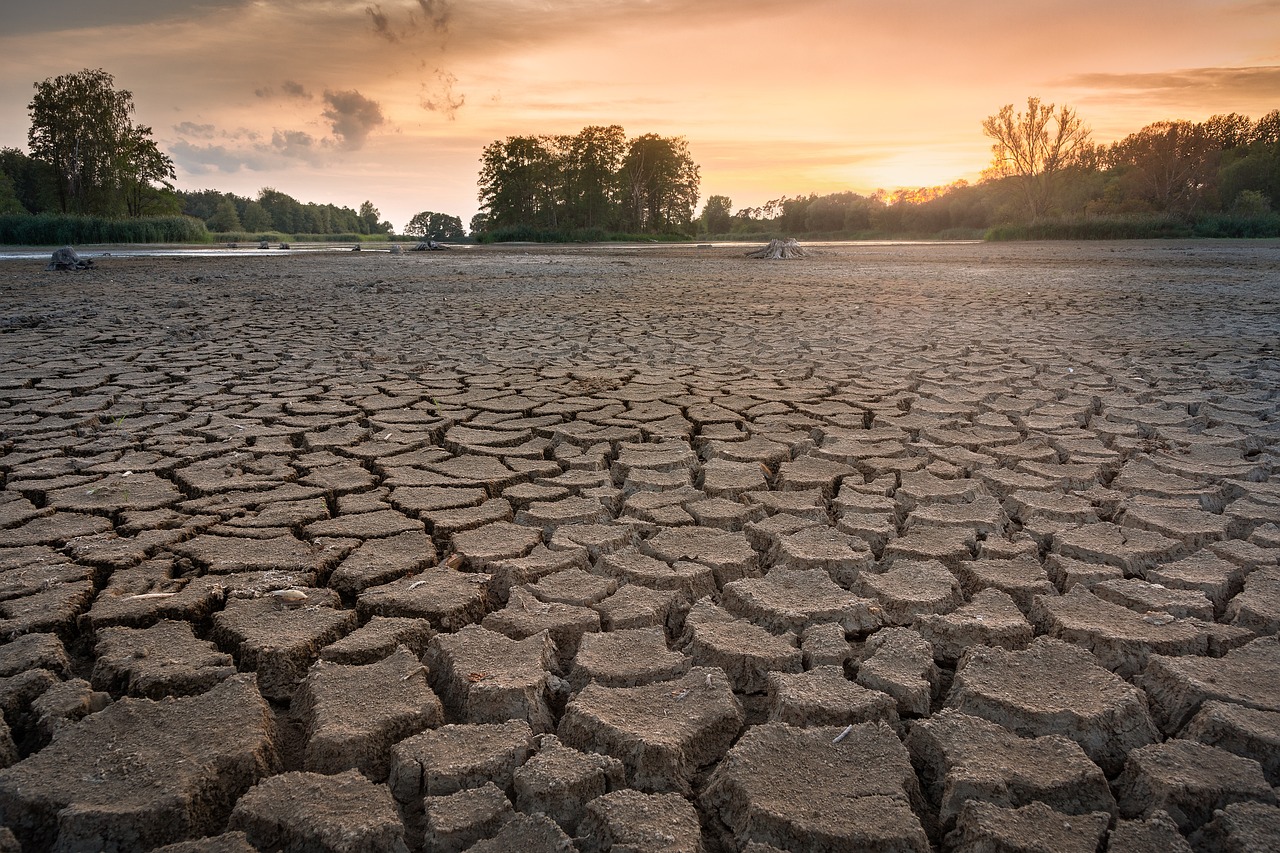Hottest year ever, Coldiretti reckons. Image shows cracked, dry ground. Image by Sven Lachmann from Pixabay