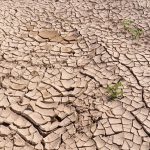 Sicily drought. Image shows dried and cracked land