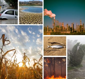 Climate crisis change and environment photo collage. Created in Canva