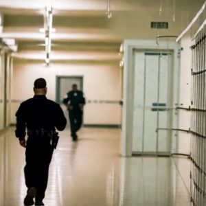 Senior Mafia figures released from prisons on furlough for Christmas or for 'model behaviour'.