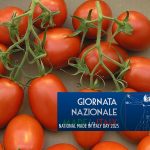 Canned tomatoes are a worldwide success for Italy. Image shows tomatoes and the National Made in Italy logo