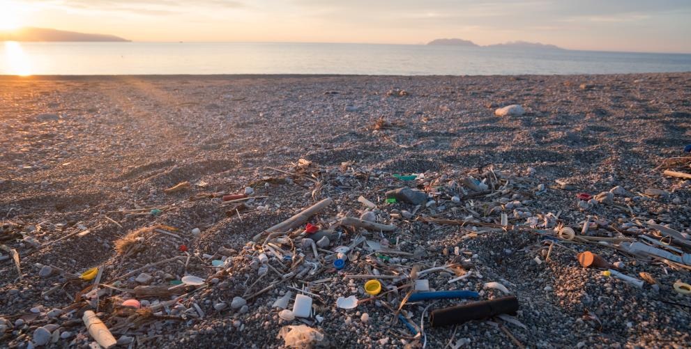 Marine litter increasing on Italian shores