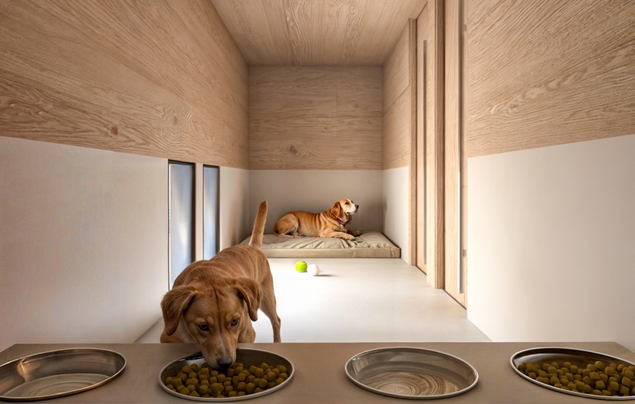 Double room in Fiumicino's dog hotel. Credit: Aeroporto di Roma