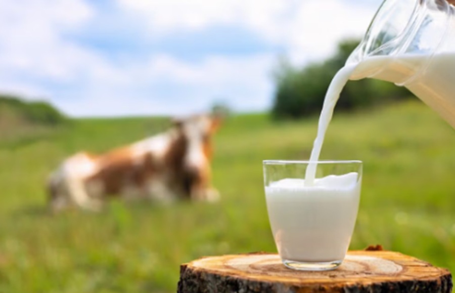 Milk recall from Centrale del Latte d’Italia