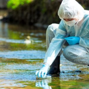 environmental crime by ecomafia on the rise. Image credit: ksmo111/ Shutterstock