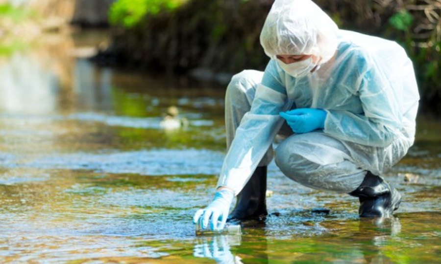 environmental crime by ecomafia on the rise. Image credit: ksmo111/ Shutterstock
