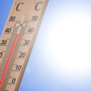 Extreme heatwave in Italy continues Extreme heatwave causes fatalities
