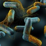 Botulism outbreaks in Italy