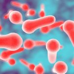 Calabria botlusim outbreak - nine under investigation