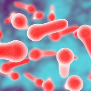 Calabria botlusim outbreak - nine under investigation