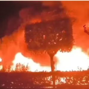 Three dead in waste-plant explosion near Naples waste plant fire. Image credit: Vigili del fuoco