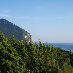 Circeo National Park where the training aircraft crash happened. Image credit: Wikipedia
