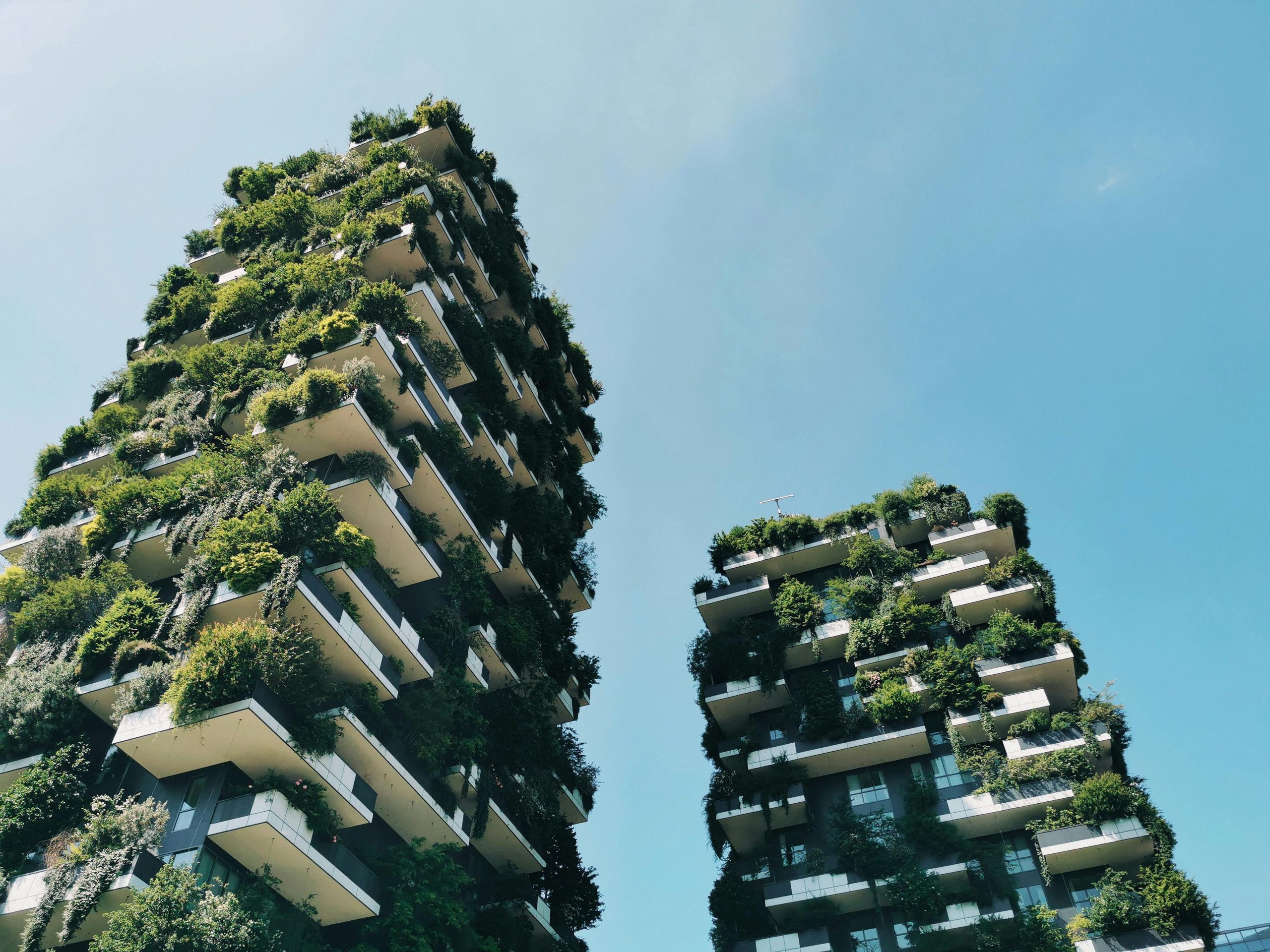 Vertical forest in Milan designed by architect Stefano Boeri