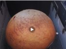 The biggest arancina in the world being lifted from the fryer. Still from video by Tele One