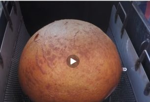 The biggest arancina in the world being lifted from the fryer. Still from video by Tele One
