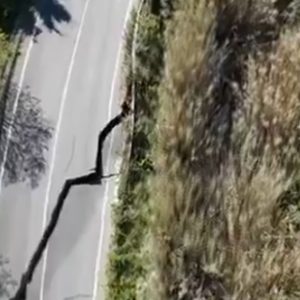 Molise landslide causes disruption on all Adriatic coast transport links. Image credit: Vigili del Fuoco on X.com