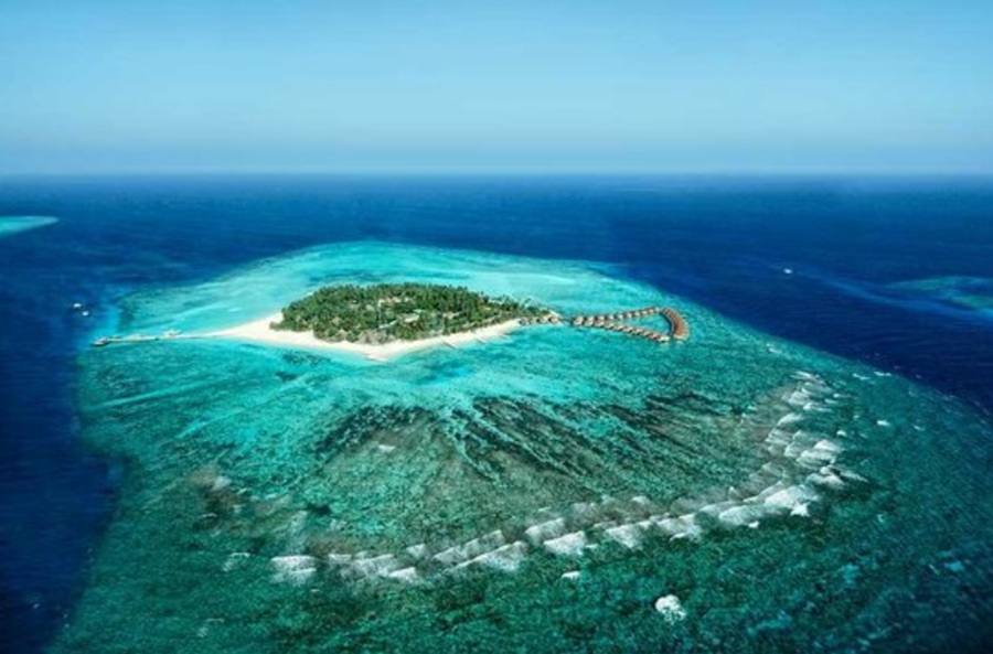 Five Italian divers died near Alimathaa in the Vaavu Atoll