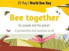 Celebrating World Bee Day