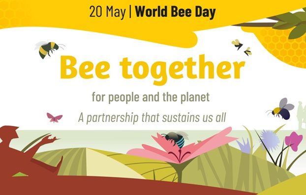 Celebrating World Bee Day