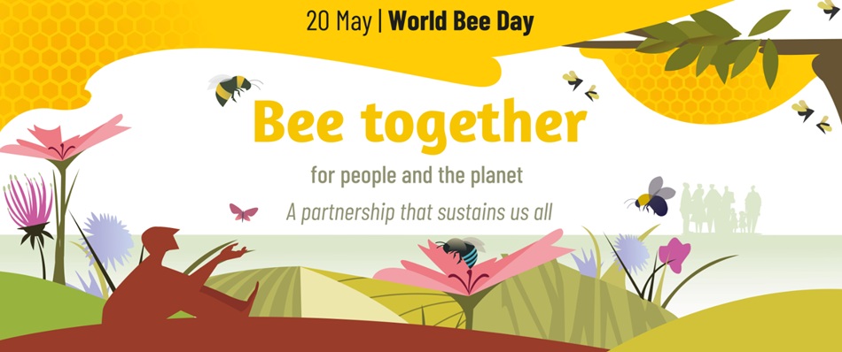 Celebrating World Bee Day