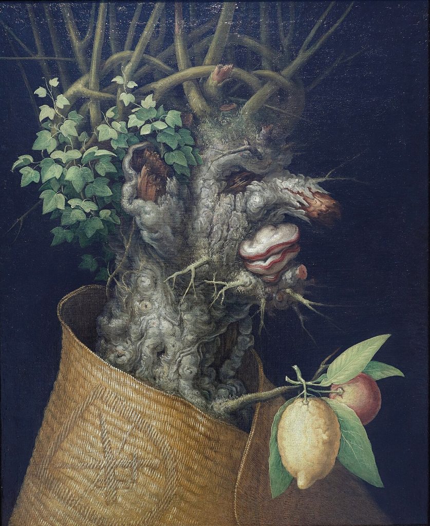 WinterPor Giuseppe Arcimboldo - LSH 91503 (sm_dig7869), Dominio público, https://commons.wikimedia.org/w/index.php?curid=36888586