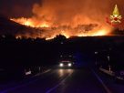Calabria wildfire may have been started by using cats with their tails alight