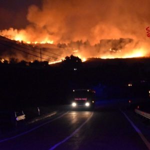 Calabria wildfire may have been started by using cats with their tails alight