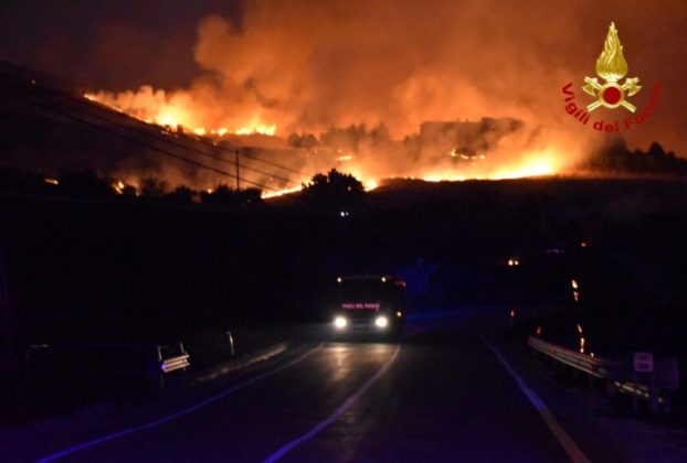 Calabria wildfire may have been started by using cats with their tails alight