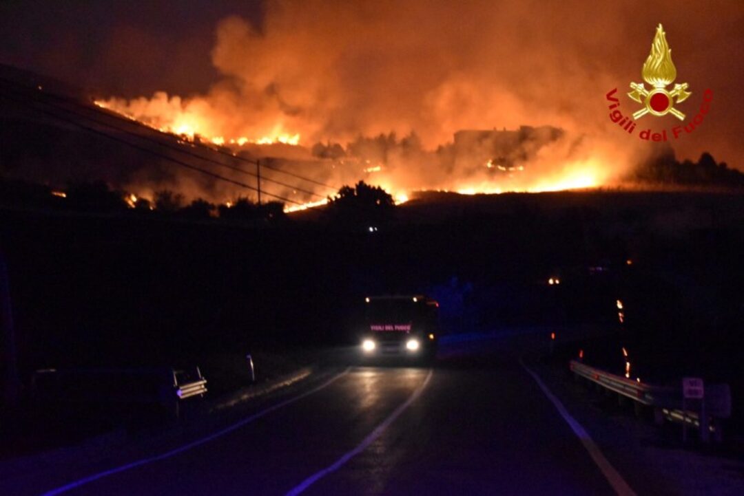 Calabria wildfire may have been started by using cats with their tails alight