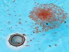 Pool drain safety amendment passed by Lower House