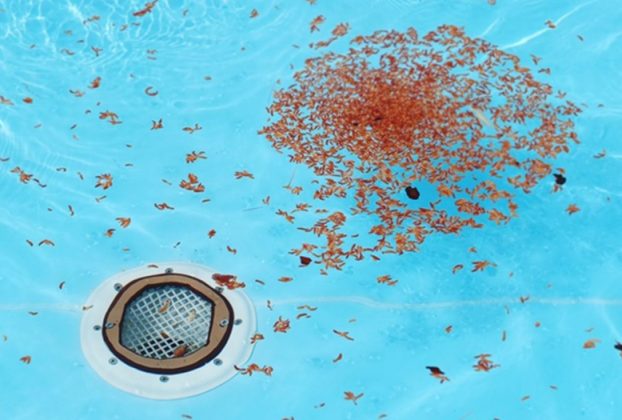 Pool drain safety amendment passed by Lower House